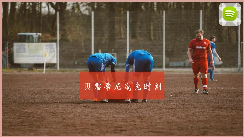 贝雷蒂尼高光时刻