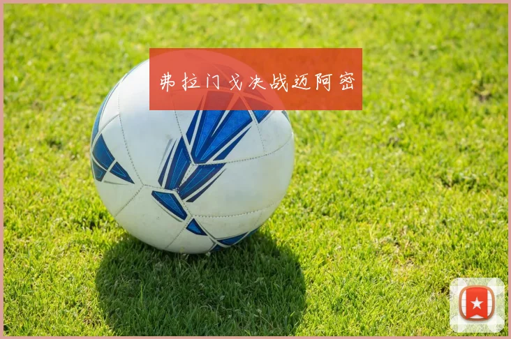 弗拉门戈决战迈阿密