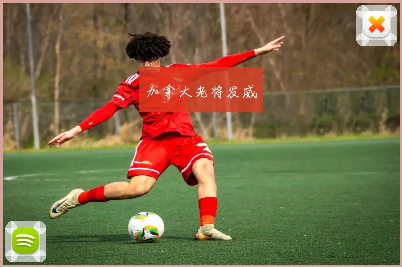 加拿大老将发威